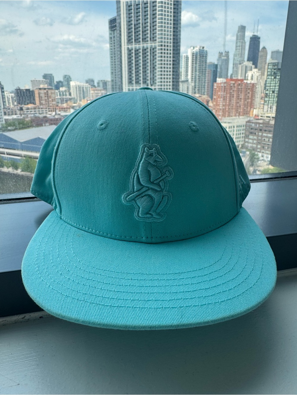 Cubs Baseball Hat